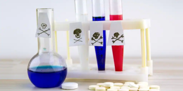 Жителька Миколаївщини створила банду, яка труїла і грабувала жінок в Україні (ФОТО)