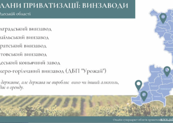 Зразу 6 винзаводів на Одещині виставляють на приватизацію