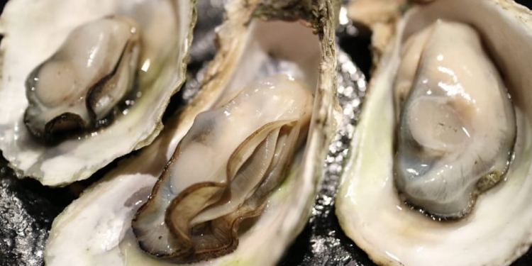 В Україну із Франції завезли хворі устриці