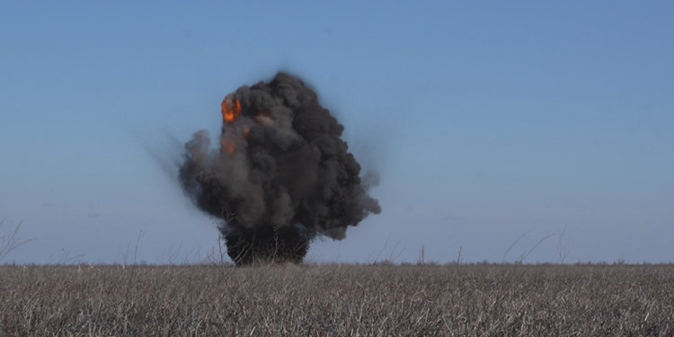 Розмінування Миколаївщини: тільки за вчора вилучено 116 російських боєприпасів (ФОТО, ВІДЕО)