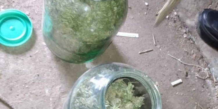 На Миколаївщині у чоловіка вилучили майже 1 кг канабісу (ФОТО)