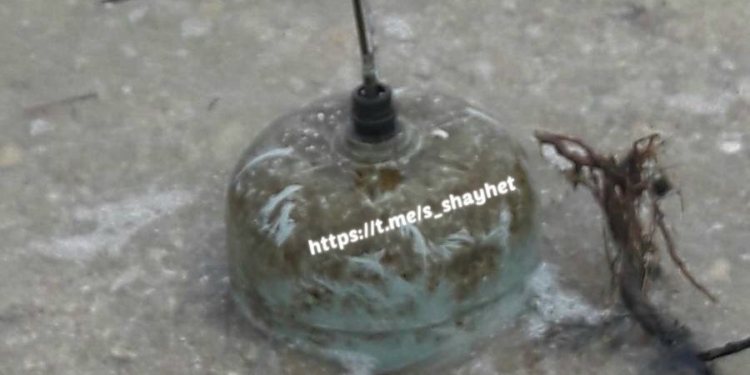 На Миколаївщині виявили якірну річну та протипіхотну міни – їх винесло на берег (ФОТО)