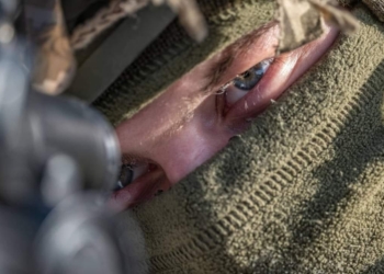 ЗСУ збили ворожий Су-25, гелікоптер Мі-24 та 7 БпЛА, – Генштаб