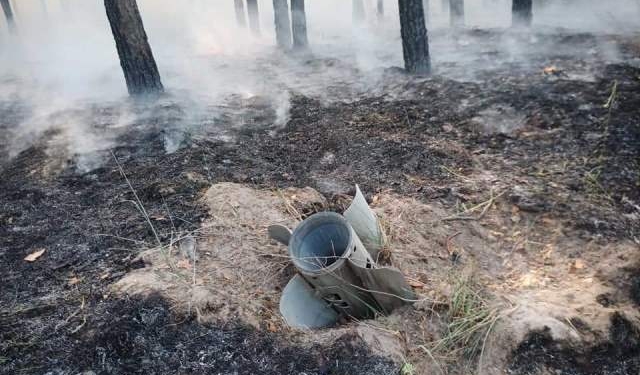 Природно-заповідний фонд Миколаївщини: наскільки постраждав під час війни, скільки ще під окупацією