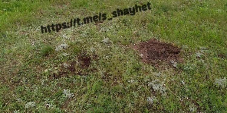 Йшли збирати гриби: подробиці підриву двох чоловіків на міні на Миколаївщині (ФОТО)