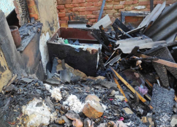 На Миколаївщині рятувальникам вдалось вберегти від вогню житловий будинок і госпспоруду