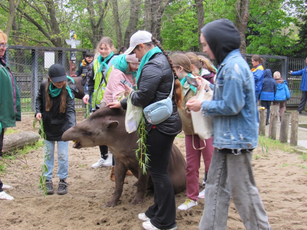 Соло і Піро були задоволені: у Миколаївському зоопарку відзначили Міжнародний день тапіра (ФОТО) 24