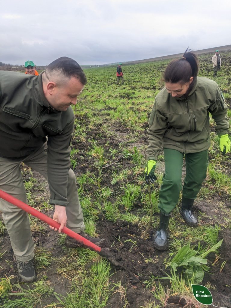 На Миколаївщині до Дня довкілля висадили саджанці горіха волоського, які було евакуйовано з Херсонської області (ФОТО) 4