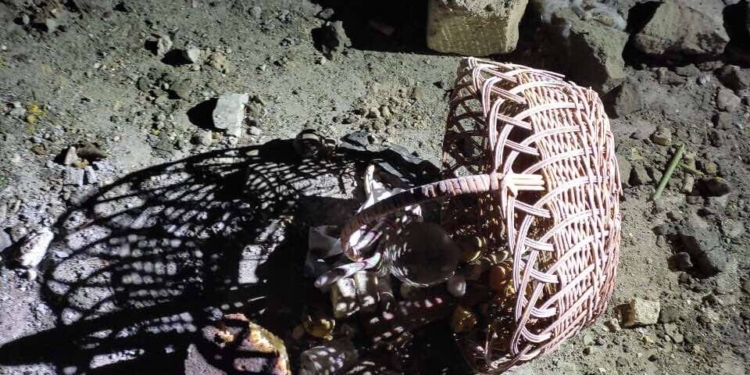 10 ракет С-300: прокуратура показала жахливі фото наслідків нічного обстрілу росіянами Снігурівки на Миколаївщині (ФОТО)