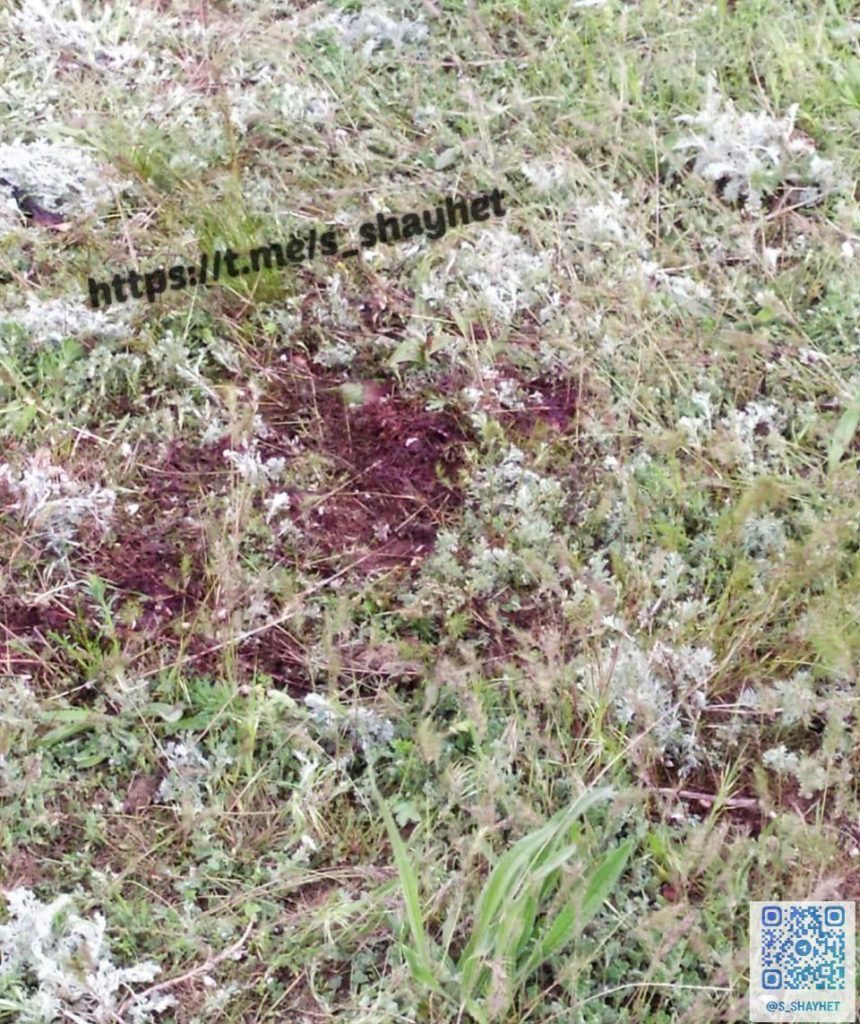 Йшли збирати гриби: подробиці підриву двох чоловіків на міні на Миколаївщині (ФОТО) 3