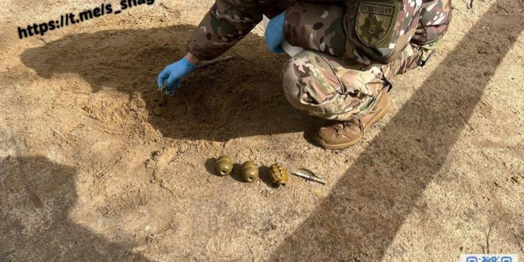 На Миколаївщині діти знайшли на ігровому майданчику три гранати з запалами (ФОТО)
