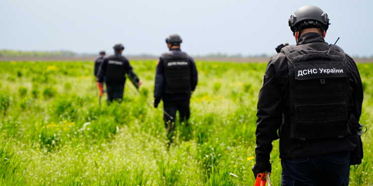 На Миколаївщині розмінували 31 тис.га полів – їх вже обробляють аграрії (ФОТО)