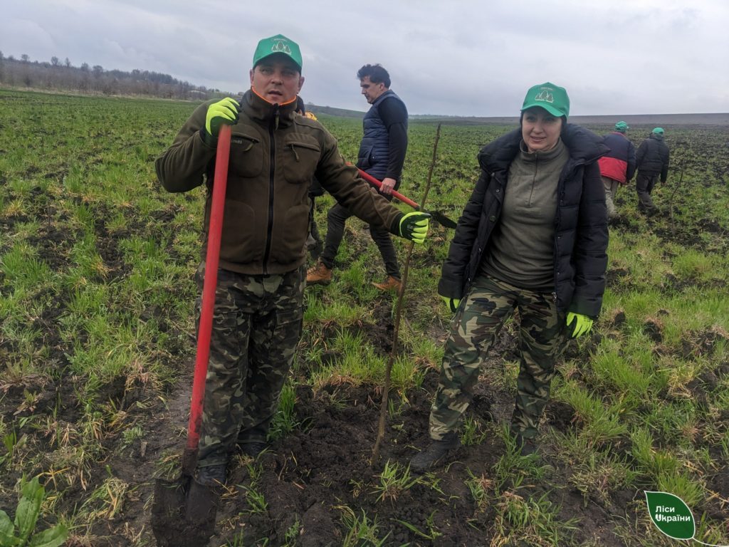 На Миколаївщині до Дня довкілля висадили саджанці горіха волоського, які було евакуйовано з Херсонської області (ФОТО) 8