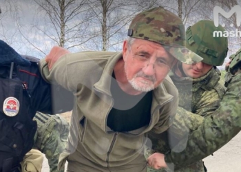 РосЗМІ стверджують, що в Брянській області впав український легкомоторний літак. Пілота затримали (ФОТО)