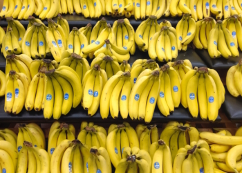 Ці 5 продуктів можуть зникнути через зміни клімату. Чи вистачить на наш вік?