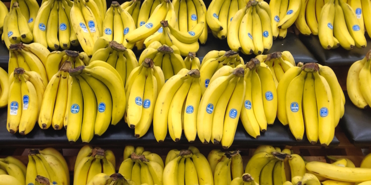 Ці 5 продуктів можуть зникнути через зміни клімату. Чи вистачить на наш вік?