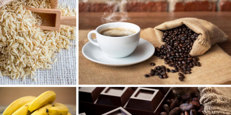 Ці 5 продуктів можуть зникнути через зміни клімату. Чи вистачить на наш вік?