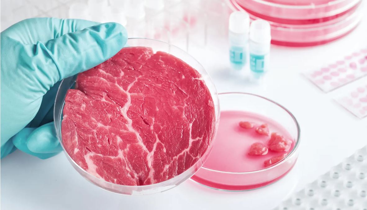 Сьогодні не можна, але. Вчені винайшли новий спосіб вирощування сала