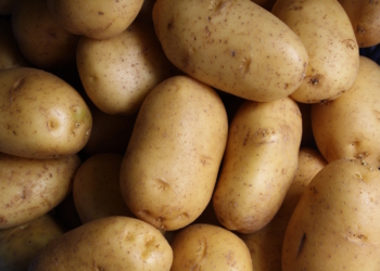 Ці 5 продуктів можуть зникнути через зміни клімату. Чи вистачить на наш вік?
