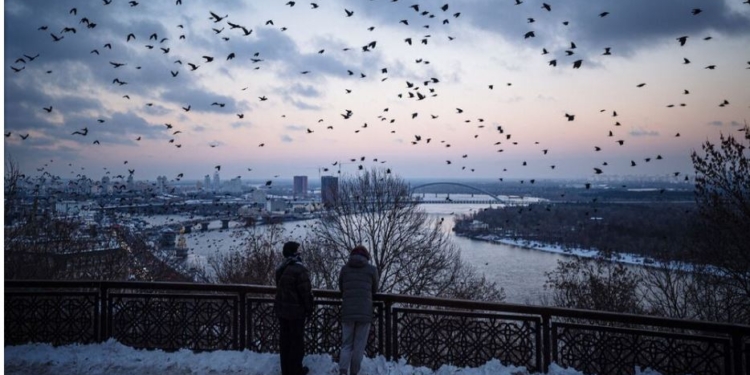 “Ми повинні любити Україну, але це має бути жорстка любов, умовна любов”. Що робити, щоб корупція не вбила план Маршалла на після війни