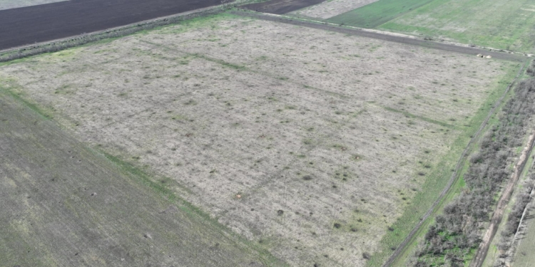 Збитки агросектору України від повномасштабної війни складають $8,7 млрд. З них $0,3 млрд. – збитки аграріїв Миколаївщини (ІНФОГРАФІКА)