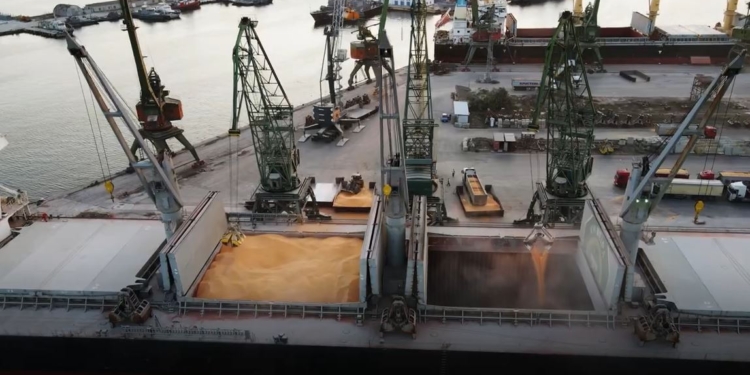 Корпорація FMC та міжнародна організація «ХАЛО Траст» об’єднують зусилля для розмінування в Україні (ВІДЕО)