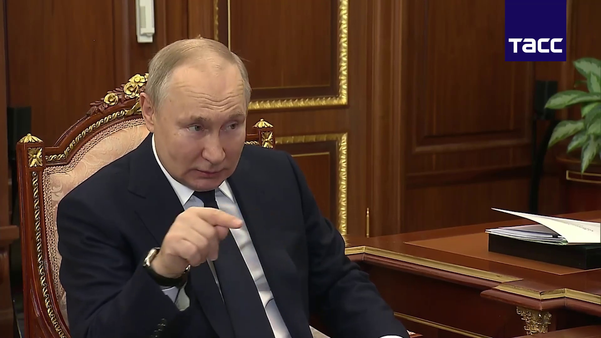 Палата №6. Путін сказав Пушиліну, що треба відсунути ЗСУ на безпечну відстань, Пасічник пожалівся Путіну на сніг (ВІДЕО)