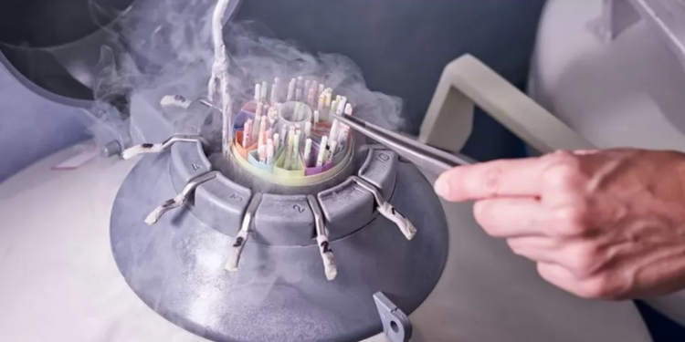 Може призвести до несвідомого інцесту. Суд у Гаазі заборонив донорство сперми голландцю – від нього вже народилося понад 550 дітейм (ФОТО)