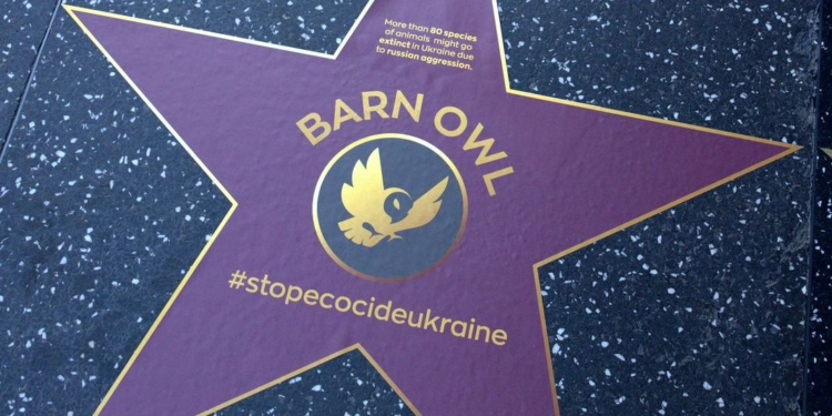 На Алеї слави у Голлівуді з’явилися зірки, присвячені українським тваринам, які можуть зникнути через російське вторгнення (ФОТО)