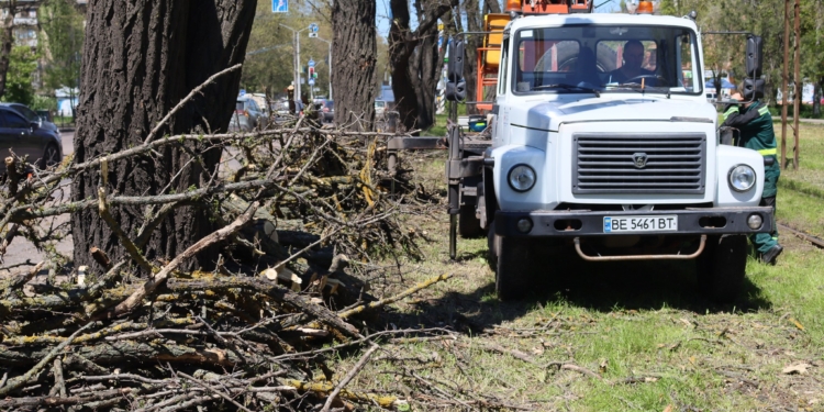 У Миколаєві триває весняна обрізка дерев (ФОТО)