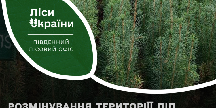 На Миколаївщині у 2023 році заплановано будівництво насіннєво-селекційного центру – під нього вже розміновують територію