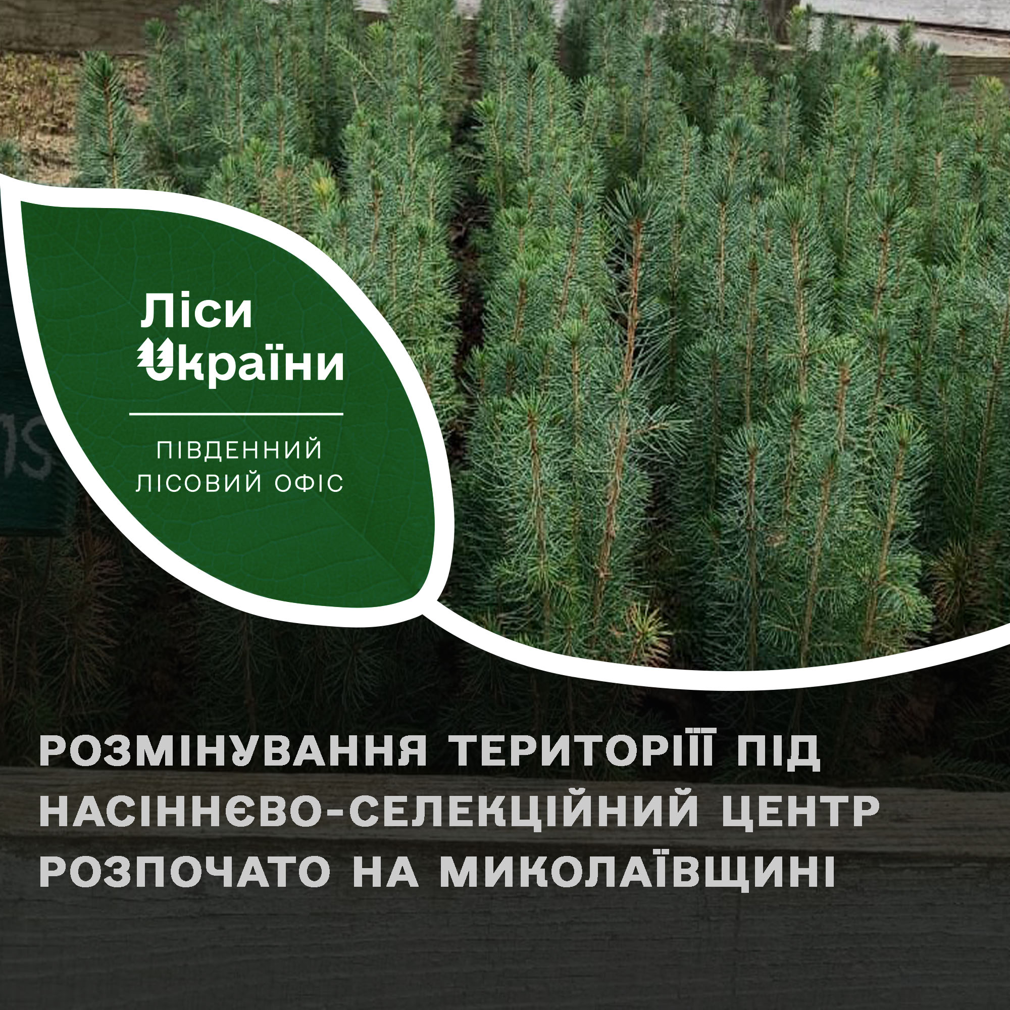 На Миколаївщині у 2023 році заплановано будівництво насіннєво-селекційного центру – під нього вже розміновують територію