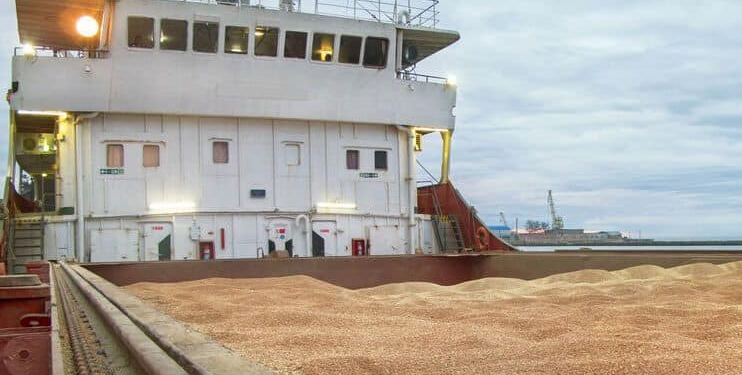 Уряд дозволив обласним військовим адміністраціям віддавати надлишкове зерно пшениці для гуманітарної програми «Grain from Ukraine»