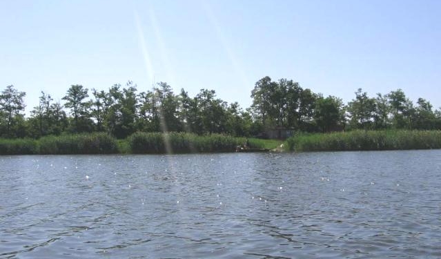 На Миколаївщині з користування недобросовісного підприємця повернули ставок