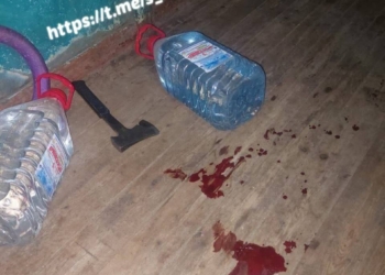 На Миколаївщині п’яна жінка з сокирою напала на патрульного