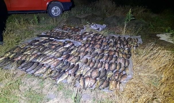 На Миколаївщині браконьєр, який наловив риби на 200 тис.грн., відбувся умовним терміном