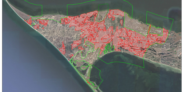 Наскільки Кінбурнська коса постраждала від пожеж через російських окупантів (КАРТА)