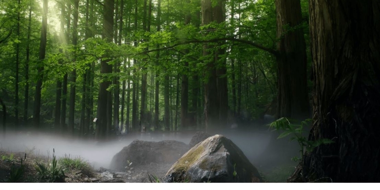 Студент побачив “білу примару” в лісах Південної Африки (ФОТО)