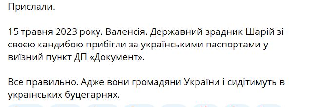 Шарій повертається? Його помітили в пересувному українському паспортному столі у Валенсії (ФОТО) 8