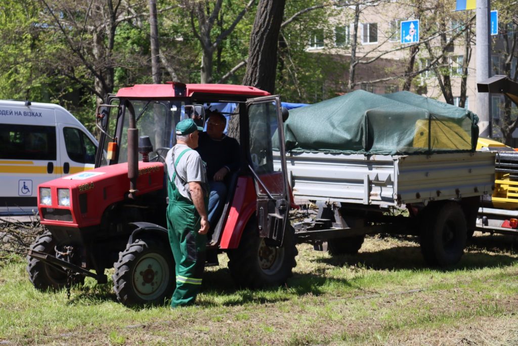 У Миколаєві триває весняна обрізка дерев (ФОТО) 4