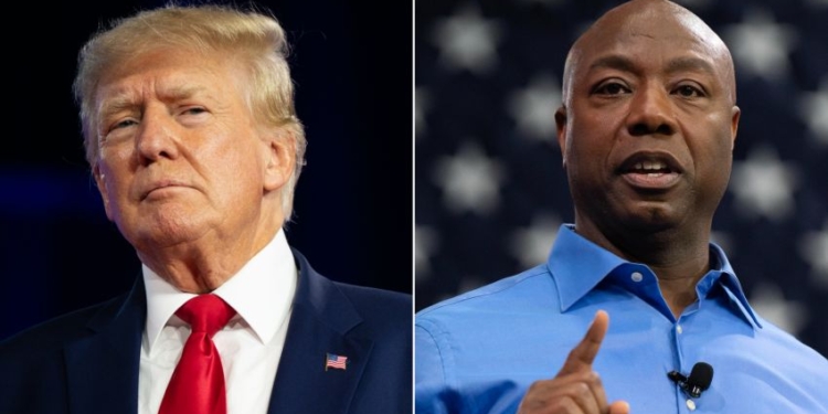 Ще один республіканець оголосив про президентські амбіції. Чому радіє Трамп (ФОТО)