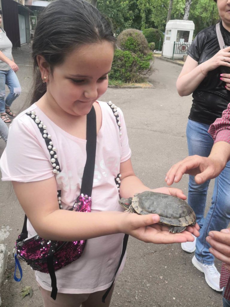 У Миколаївському зоопарку відмітили World Turtle Day: «місцеві» тортілли були задоволені святковими салатиками (ФОТО) 6