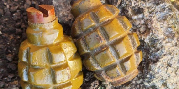 На Миколаївщині затримали молодика за збут канабісу та незаконне зберігання гранат (ФОТО)