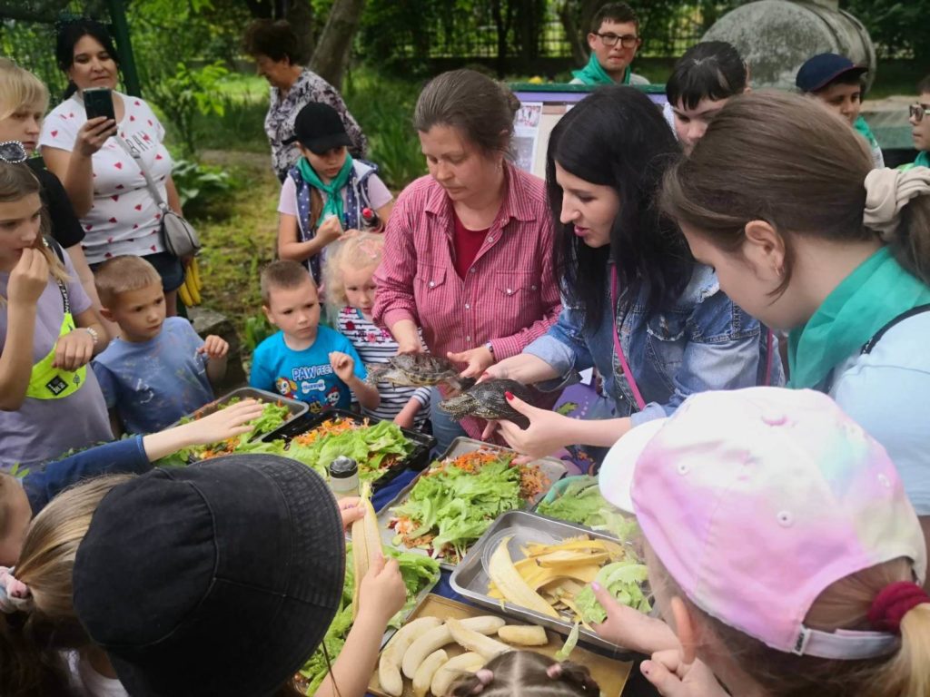 У Миколаївському зоопарку відмітили World Turtle Day: «місцеві» тортілли були задоволені святковими салатиками (ФОТО) 8