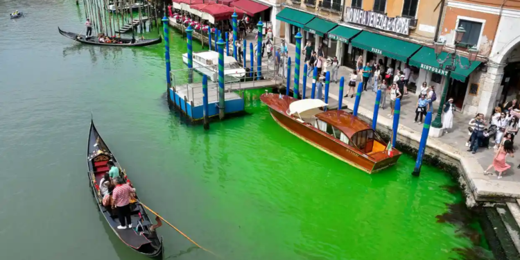 Вода у Гранд-каналі Венеції стала зеленою – поліція підозрює захисників клімату (ФОТО)