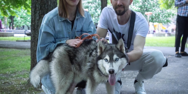Виставка-прилаштування покинутих собак у Миколаєві: 8 песиків знайшли нові домівки (ФОТО)