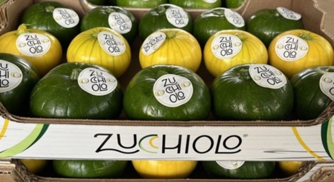 У Європі новий овочевий фаворит – цуккіоло. Що воно таке (ФОТО)