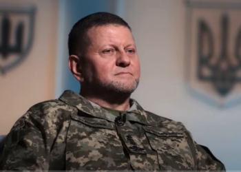 “Якщо зараз ми не знищимо їх, то будемо знищені ми”, – Залужний (ВІДЕО)