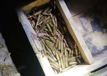Чоловік, який на Миколаївщині в травні продав 450 набоїв та кулемет Калашнікова, на час слідства буде під домашнім арештом (ФОТО)