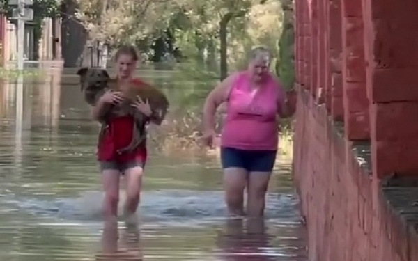 Як українці рятують тварин на Херсонщині після підриву росіянами Каховської ГЕС (ВІДЕО)